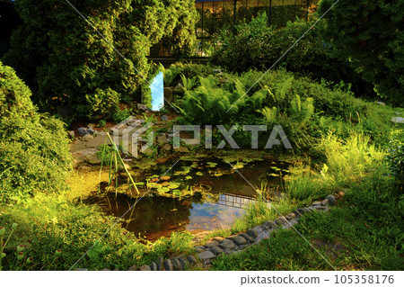 Beautiful small garden pond with stone shores, mirrors of the greenhouse in background and many decorative evergreens spring after rain. Selective focus. Nature concept for design Beautiful small garden pond with stone shores, mirrors of the greenhouse in background and many decorative evergreens spring after rain. Selective focus. Nature concept for design 105358176