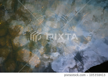 Amenbo漂浮在水面上 Amenbo漂浮在水面上 105358413