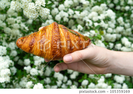 Pistachio Croissant, Fresh Puff Pastry Pie on Green Background, Sweet Kipferl with Pistachio 105359169