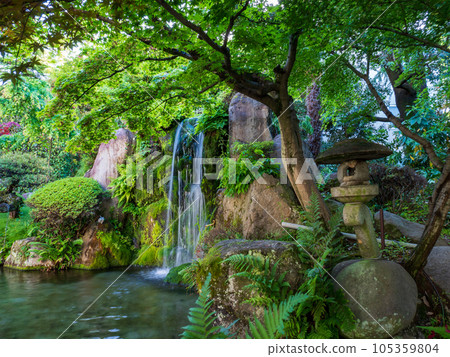 A waterfall surrounded by fresh greenery 105359804