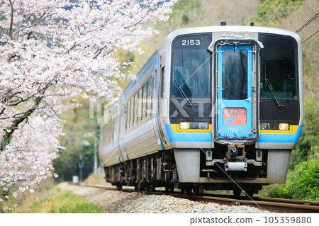 春季特快“四萬十號”（JR四國）道贊線 105359880