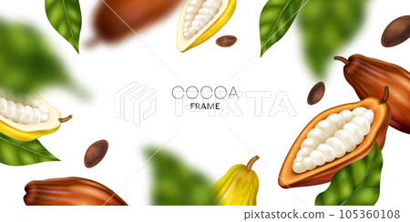 Realistic Cocoa Frame 105360108