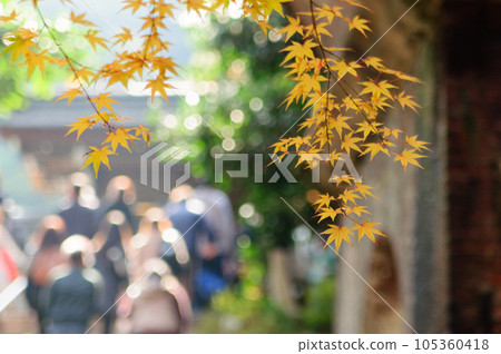 南禪寺和水道閣的秋葉 南禪寺和水道閣的秋葉 105360418