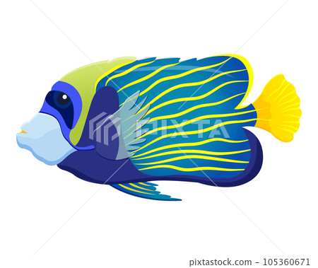 Blue tropical fish with yellow stripes. Color vector illustration of angel fish. Aquarium animal Blue tropical fish with yellow stripes. Color vector illustration of angel fish. Aquarium animal 105360671