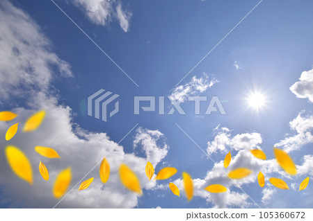 向日葵花瓣在夏日天空中翩翩起舞的穿透性背景圖像 105360672