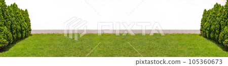 Green Hedge Texture Background, Leaves Wallpaper, Foliage Pattern, Green Plant Wall Mockup Green Hedge Texture Background, Leaves Wallpaper, Foliage Pattern, Green Plant Wall Mockup 105360673
