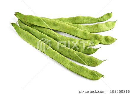 摩洛哥四季豆 摩洛哥四季豆 105360816