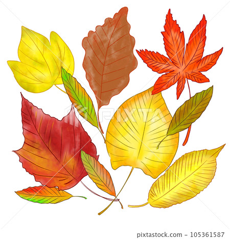 秋天的落葉 105361587
