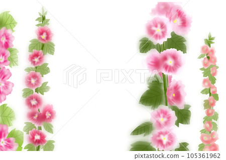 Card 2 of hollyhock flower Card 2 of hollyhock flower 105361962