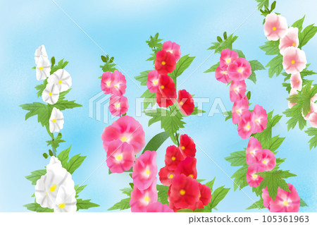 Card 3 of hollyhock flower Card 3 of hollyhock flower 105361963