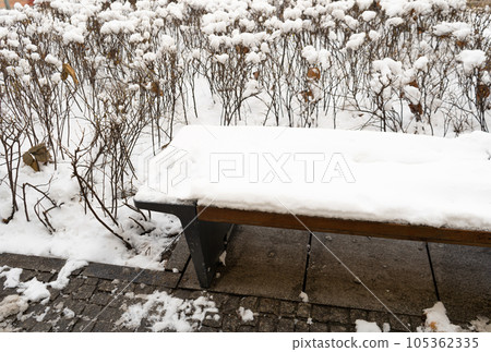 Wooden Bench in Snow, Frozen Winter Park, Outdoor City Architecture, Empty Plank Seat in Snowfall, Seasonal Travel Wooden Bench in Snow, Frozen Winter Park, Outdoor City Architecture, Empty Plank Seat in Snowfall, Seasonal Travel 105362335