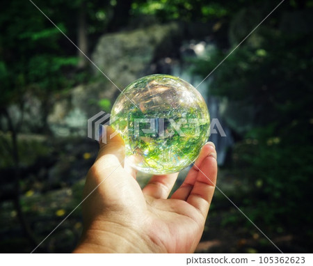 beautiful crystal glass forest beautiful crystal glass forest 105362623