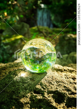 A summer forest trapped in a glass ball 105362624
