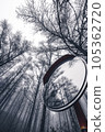 tree and curved mirror 105362720