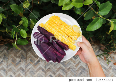 steamed corn and steamed purple sweet potato 105362885