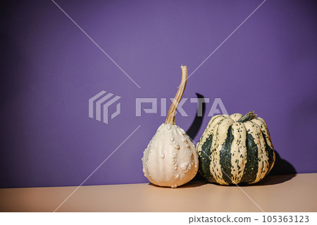 Decorative pumpkins on light orange 105363123