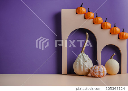 Different types of pumpkins 105363124