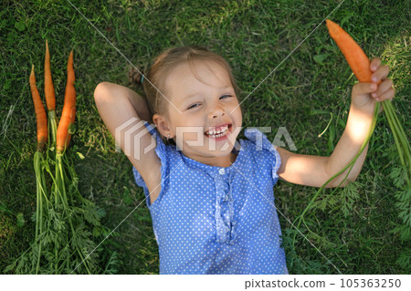 A little lovely girl is lying on a green lawn eating a big fresh carrot. Ripe healthy natural vegetables A little lovely girl is lying on a green lawn eating a big fresh carrot. Ripe healthy natural vegetables 105363250