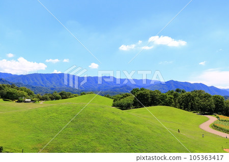 [香川縣]夏天的國立贊岐萬野公園（草坪廣場和藍天） 105363417