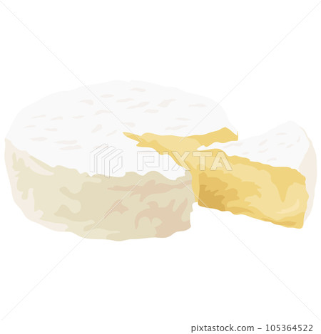 White mold cheese illustration material vector 105364522