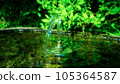Fountain with clear water against the background of plants - image material of spring water, parks and power spots 105364587