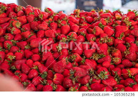 Strawberry trading in the Turkish market 105365236