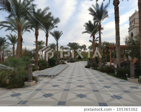 The view of palm trees and beautiful architecture on the territory of the castle in Egypt is the concept of a luxury trip. Rest on the territory of the hotel. 105365302
