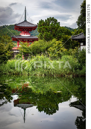多寶塔倒映在大澤池中,大覺寺門蹟的夏季陣雨後,大澤池變成了平靜的水鏡 多寶塔倒映在大澤池中,大覺寺門蹟的夏季陣雨後,大澤池變成了平靜的水鏡 105365376