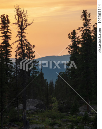 Cedar mountains at dawn. Atmospheric landscape with silhouettes of forest mountains on background of bright dawn sky. Colorful nature scenery with sunset or sunrise. Sundown in faded tones. 105365544