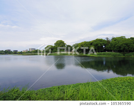 江津湖(熊本縣熊本市) 江津湖(熊本縣熊本市) 105365590