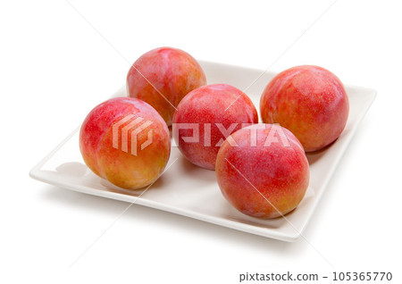 山梨縣的夏日天使 105365770