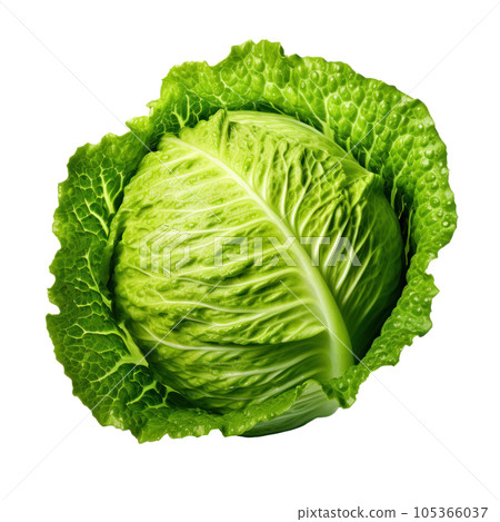 Green fresh lettuce isolated 105366037