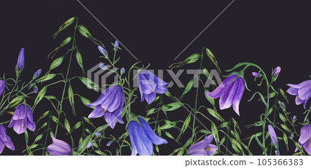 Summer meadow wildflowers seamless border. Bluebell Flowers and Wild Oats. Watercolor illustration isolated on white background. Floral delicate print for textile, scrapbooking, invitation. Summer meadow wildflowers seamless border. Bluebell Flowers and Wild Oats. Watercolor illustration isolated on white background. Floral delicate print for textile, scrapbooking, invitation. 105366383