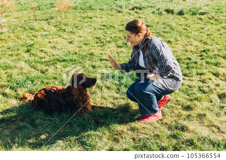 Cheerful happy young woman playing with her dog in the yard of the house in summer. Beautiful Irish Setter dog is lying in grass Cheerful happy young woman playing with her dog in the yard of the house in summer. Beautiful Irish Setter dog is lying in grass 105366554