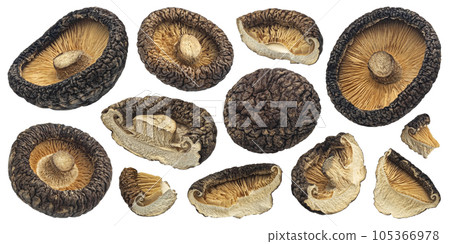 Dried shiitake mushrooms isolated on white background 105366978