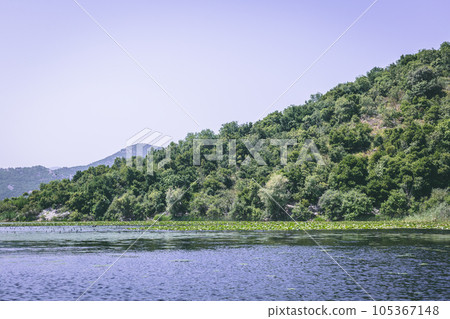 Montenegro, On a boat on waterway through green lily plants covering surface of skadar lake, a 105367148