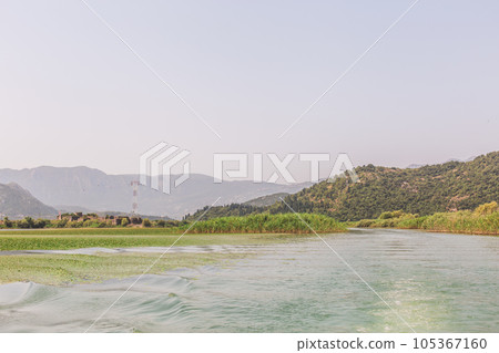 Montenegro, On a boat on waterway through green lily plants covering surface of skadar lake, a 105367160