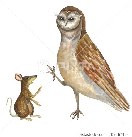 Watercolor illustration of an owl and and mouse, rat. Composition isolated on transparent background hand drawn for decoration and design of souvenir products 105367424