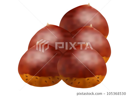 Five "chestnut nuts" Five "chestnut nuts" 105368530