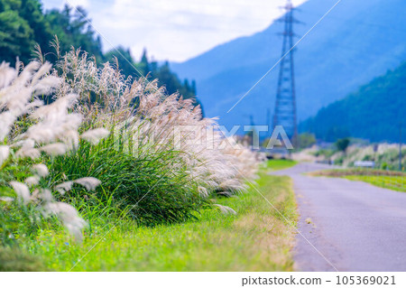 [秋季材料] 薄耳朵和藍天[長野縣] 105369021