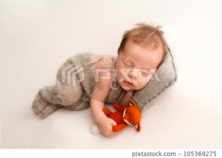 A cute newborn baby boy sleeps in a gray overalls in the first days of life. On a white background. With a bright orange felt toy fox. Professional macro photography, portrait. 105369275