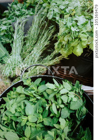 Mint, dill and parsley sold on green market 105369479