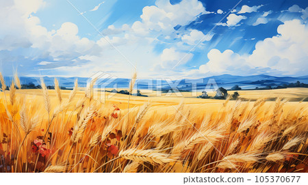The original landscape that is also the national flag of Ukraine: Blue sky spreads over a vast wheat field 105370677