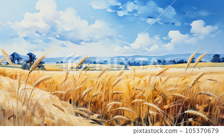The original landscape that is also the national flag of Ukraine: Blue sky spreads over a vast wheat field 105370679