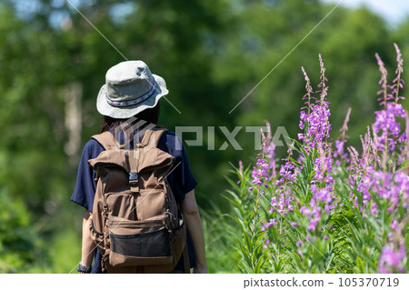 夏天的野佐里湖 一位女徒步旅行者穿過柳樹叢 105370719