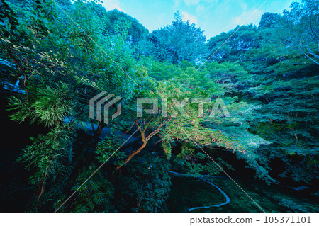 京都神廟花園 京都神廟花園 105371101