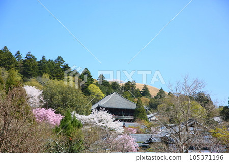 春天的二月堂 遠景 春天的二月堂 遠景 105371196