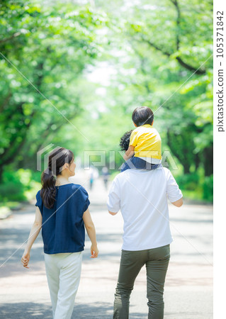 Family green road 105371842