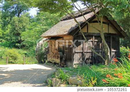Summer in Azumino Daio Wasabi Farm Water Mill Summer in Azumino Daio Wasabi Farm Water Mill 105372261