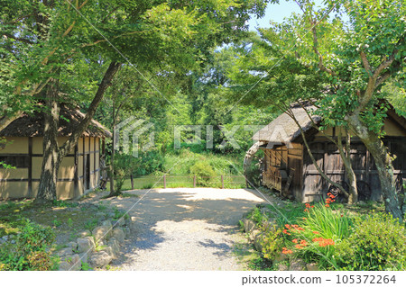 Summer in Azumino Daio Wasabi Farm Water Mill Summer in Azumino Daio Wasabi Farm Water Mill 105372264